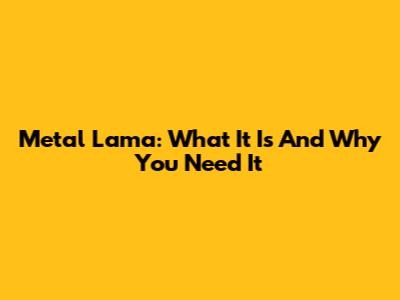 Metal Lama: What It Is And Why You Need It