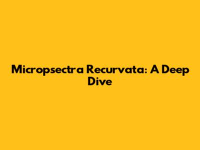 Micropsectra Recurvata: A Deep Dive