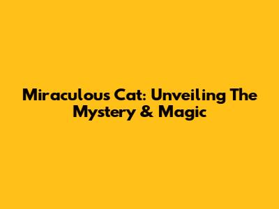 Miraculous Cat: Unveiling The Mystery & Magic