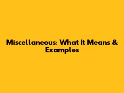 Miscellaneous: What It Means & Examples