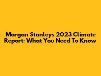 Morgan Stanley's 2023 Climate Report: What You Need To Know