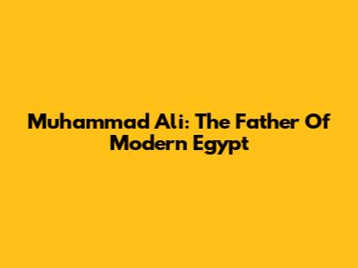 Muhammad Ali: The Father Of Modern Egypt