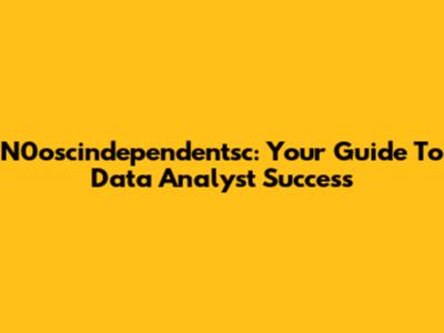 N0oscindependentsc: Your Guide To Data Analyst Success