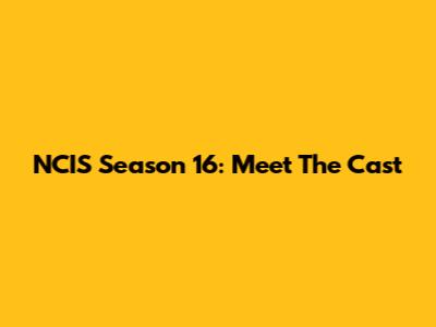 NCIS Season 16: Meet The Cast