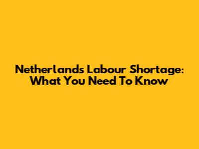 Netherlands Labour Shortage: What You Need To Know