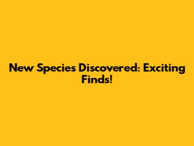 New Species Discovered: Exciting Finds!