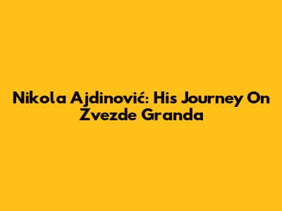 Nikola Ajdinović: His Journey On Zvezde Granda