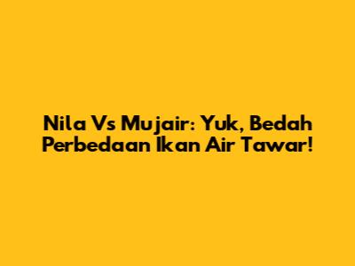 Nila Vs Mujair: Yuk, Bedah Perbedaan Ikan Air Tawar!