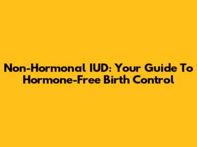 Non-Hormonal IUD: Your Guide To Hormone-Free Birth Control