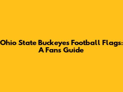 Ohio State Buckeyes Football Flags: A Fan's Guide