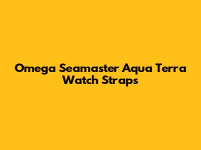 Omega Seamaster Aqua Terra Watch Straps