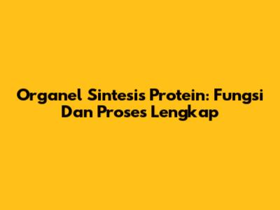Organel Sintesis Protein: Fungsi Dan Proses Lengkap
