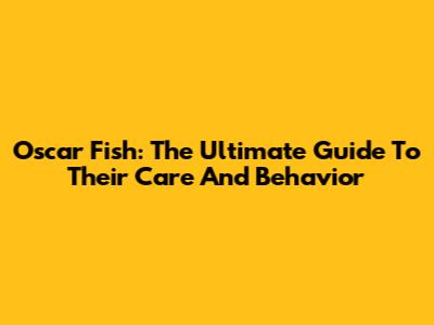 Oscar Fish: The Ultimate Guide To Their Care And Behavior