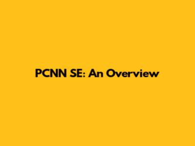 PCNN SE: An Overview
