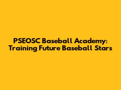 PSEOSC Baseball Academy: Training Future Baseball Stars