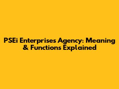 PSEi Enterprises Agency: Meaning & Functions Explained