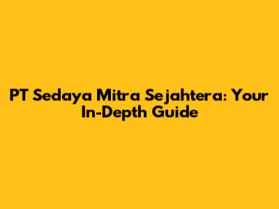 PT Sedaya Mitra Sejahtera: Your In-Depth Guide