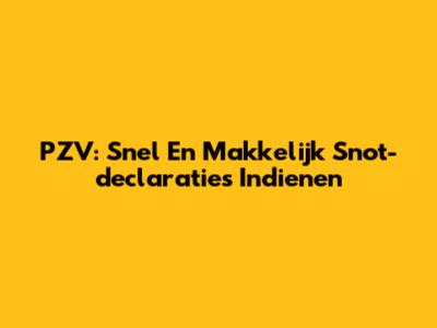 PZV: Snel En Makkelijk Snot-declaraties Indienen