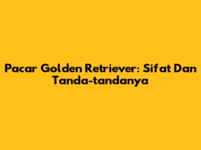 Pacar Golden Retriever: Sifat Dan Tanda-tandanya