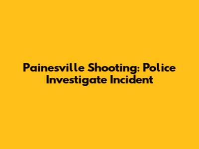 Painesville Shooting: Police Investigate Incident