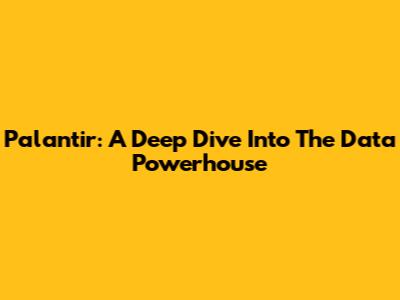 Palantir: A Deep Dive Into The Data Powerhouse