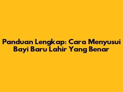 Panduan Lengkap: Cara Menyusui Bayi Baru Lahir Yang Benar