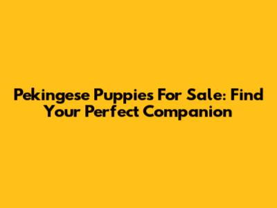 Pekingese Puppies For Sale: Find Your Perfect Companion