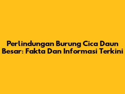 Perlindungan Burung Cica Daun Besar: Fakta Dan Informasi Terkini