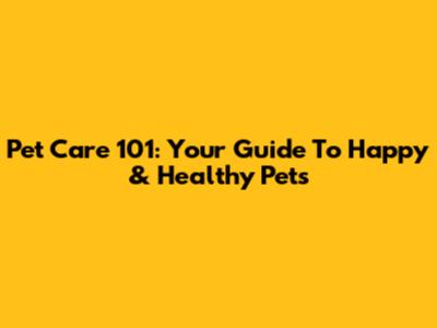 Pet Care 101: Your Guide To Happy & Healthy Pets