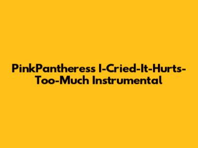 PinkPantheress 'I-Cried-It-Hurts-Too-Much' Instrumental