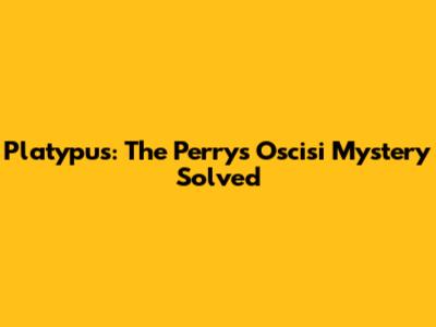 Platypus: The Perry's Oscisi Mystery Solved