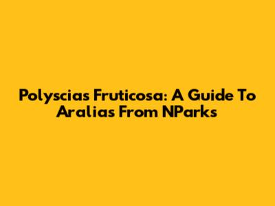 Polyscias Fruticosa: A Guide To Aralias From NParks
