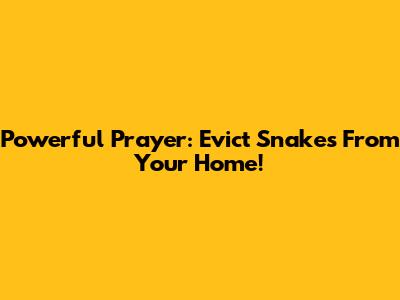 Powerful Prayer: Evict Snakes From Your Home!