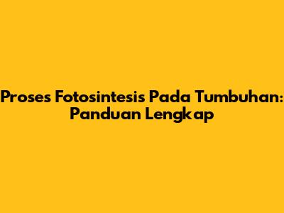 Proses Fotosintesis Pada Tumbuhan: Panduan Lengkap