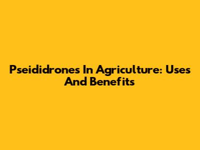 Pseididrones In Agriculture: Uses And Benefits