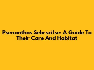 Psenanthos Sebrszilse: A Guide To Their Care And Habitat
