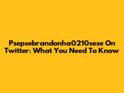 Psepsebrandonha0210sese On Twitter: What You Need To Know