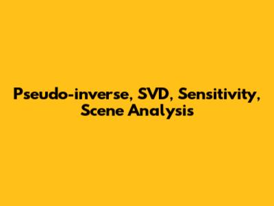 Pseudo-inverse, SVD, Sensitivity, Scene Analysis