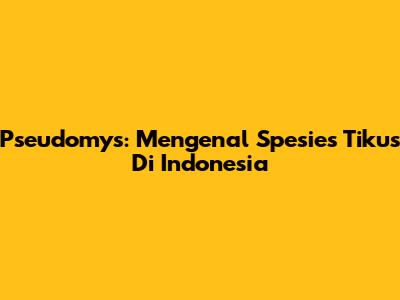 Pseudomys: Mengenal Spesies Tikus Di Indonesia