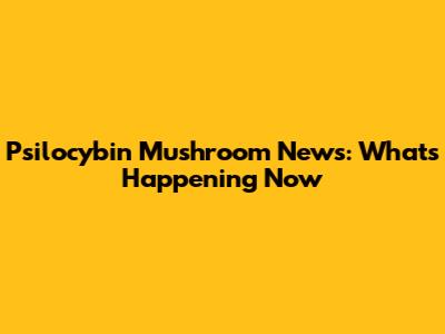 Psilocybin Mushroom News: What's Happening Now