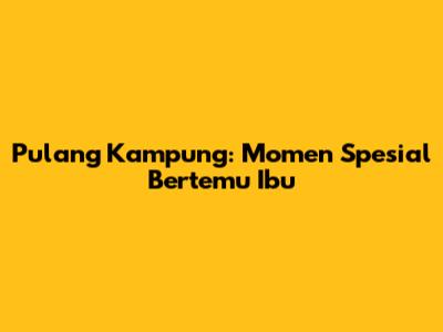 Pulang Kampung: Momen Spesial Bertemu Ibu