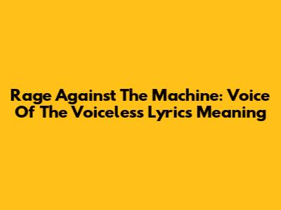 Rage Against The Machine: Voice Of The Voiceless Lyrics Meaning