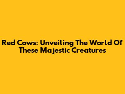 Red Cows: Unveiling The World Of These Majestic Creatures