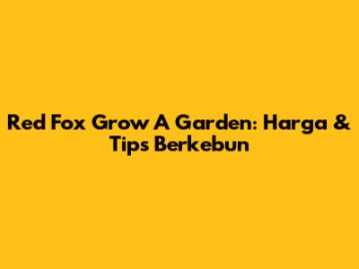 Red Fox Grow A Garden: Harga & Tips Berkebun