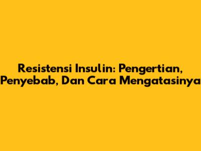 Resistensi Insulin: Pengertian, Penyebab, Dan Cara Mengatasinya