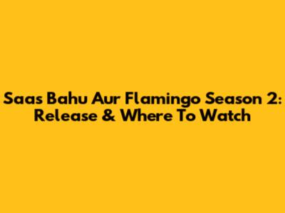 Saas Bahu Aur Flamingo Season 2: Release & Where To Watch