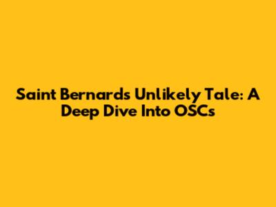 Saint Bernard's Unlikely Tale: A Deep Dive Into OSCs