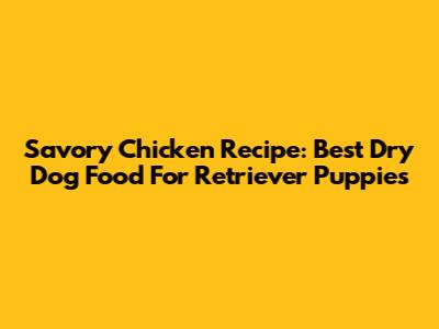 Savory Chicken Recipe: Best Dry Dog Food For Retriever Puppies
