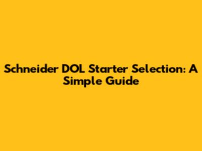 Schneider DOL Starter Selection: A Simple Guide