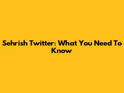 Sehrish Twitter: What You Need To Know